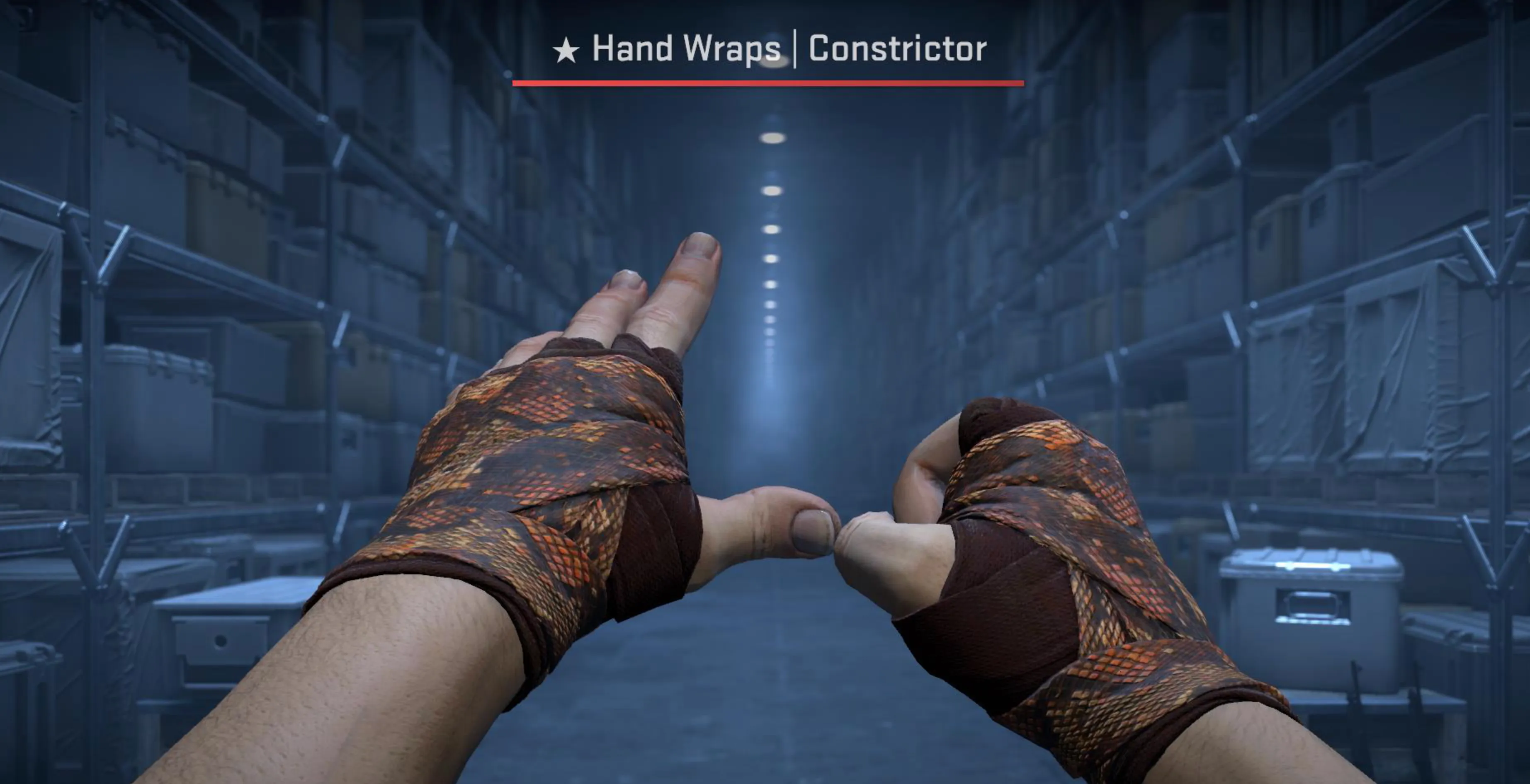 Hand Wraps Constrictor
